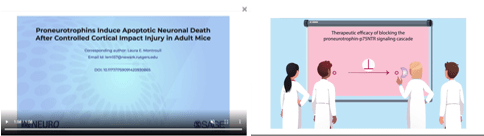 Screen grabs from a sample video abstract by ASN Neuro (SAGE)
